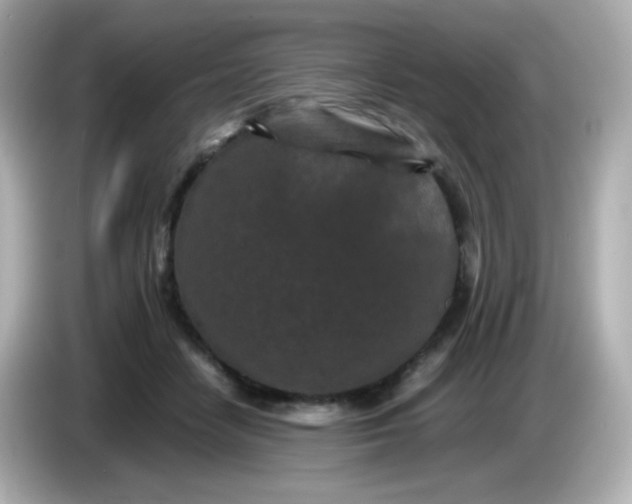 X0000086030458200704091135