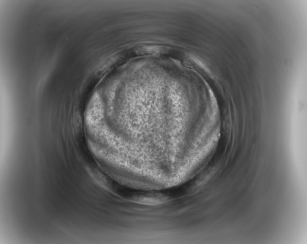 X0000086030459200704091135