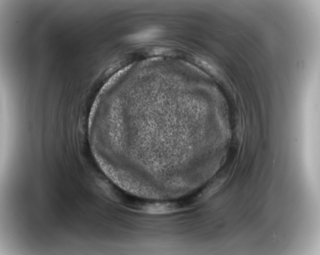 X0000086030461200704091135