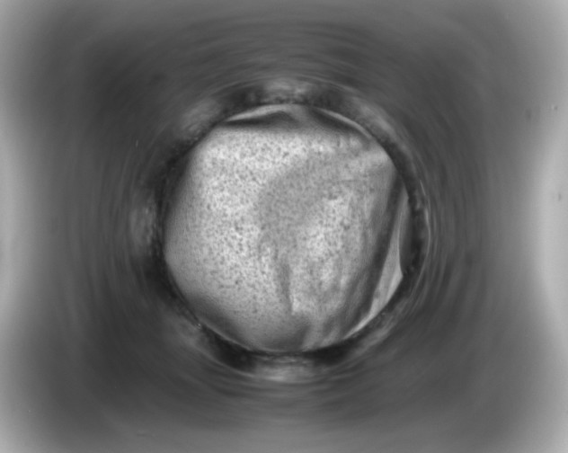 X0000086030463200704091135