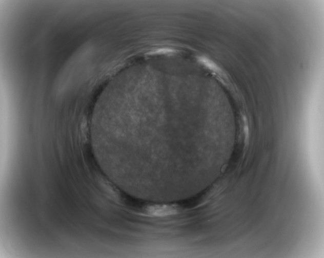 X0000086030465200704091135