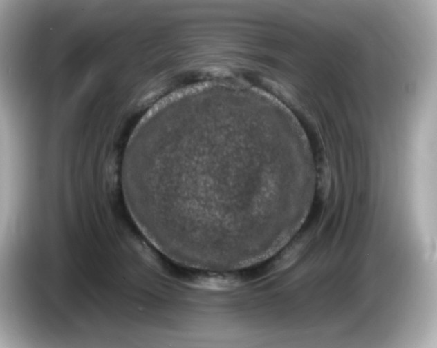 X0000086030466200704091135