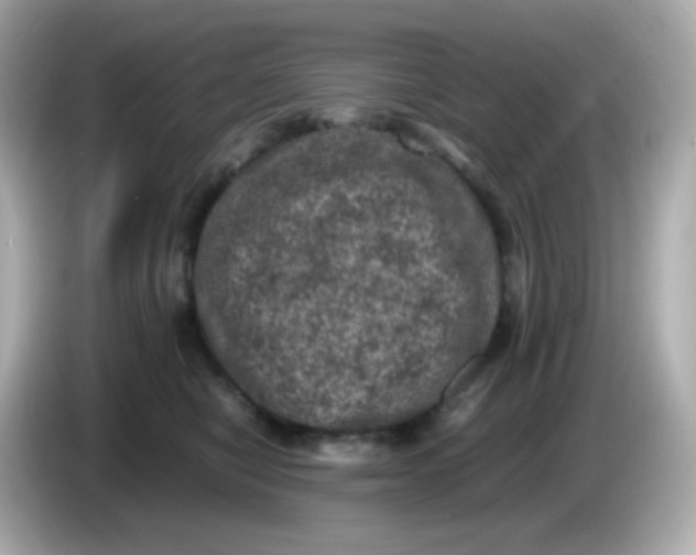 X0000086030470200704091136