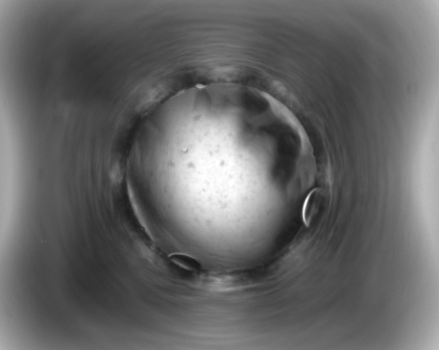 X0000086030472200704091136