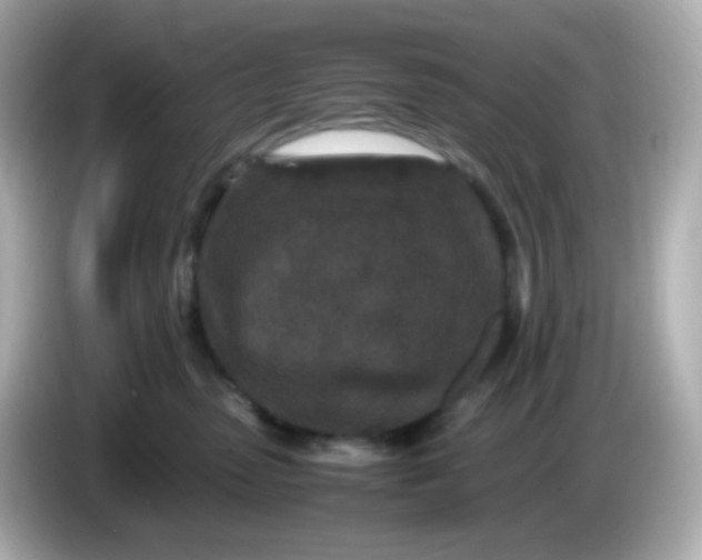 X0000086030475200704091136