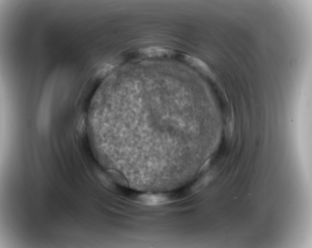 X0000086030477200704091136