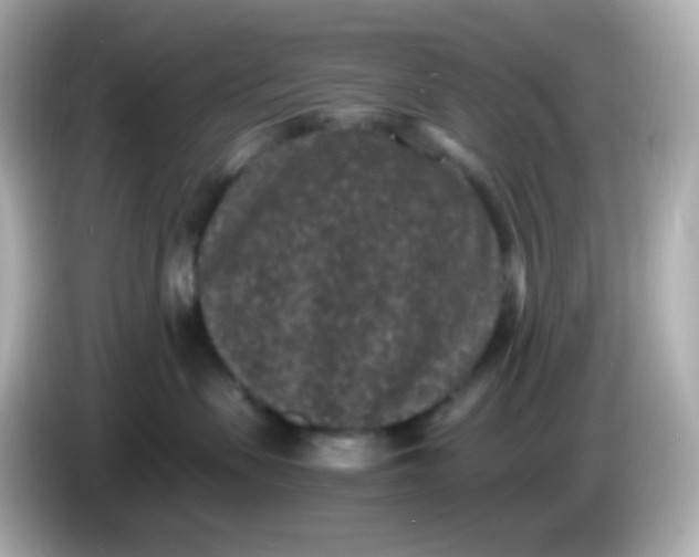 X0000086030479200704091136