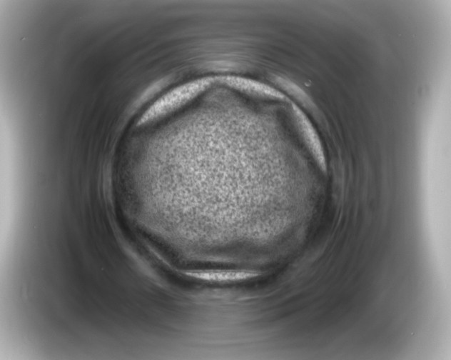 X0000086030482200704091135