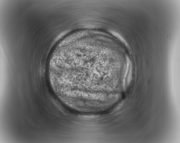 X0000086030483200704091135