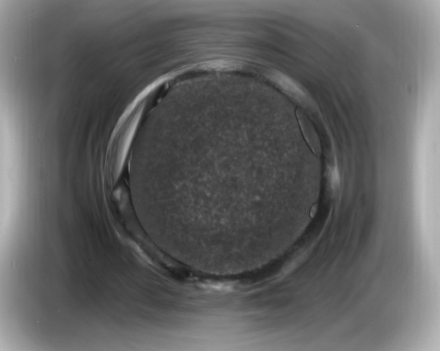 X0000086030484200704091135