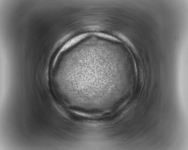 X0000086030486200704091135