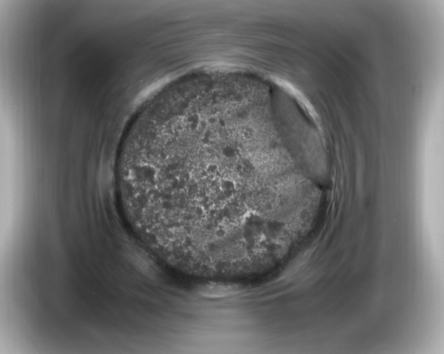 X0000086030487200704091135