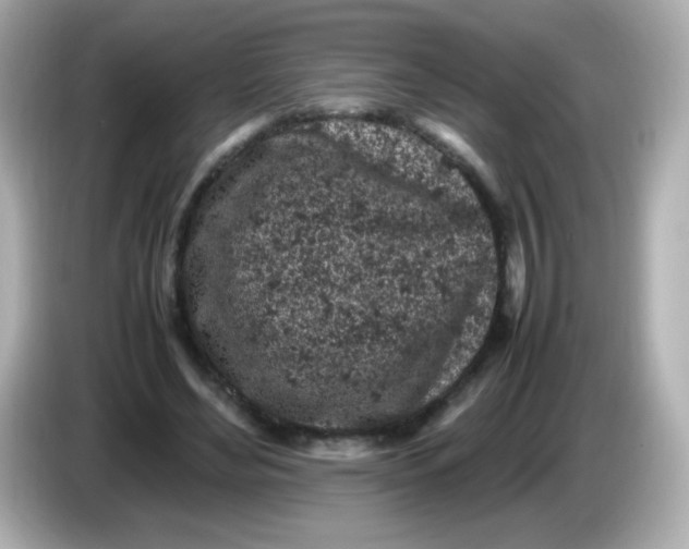 X0000086030492200704091135