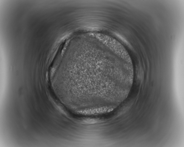 X0000086030494200704091135