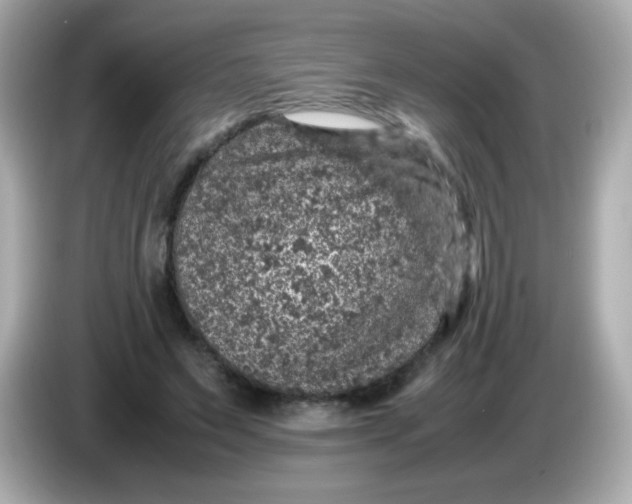 X0000086030495200704091135