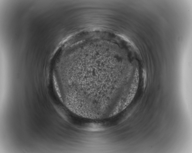 X0000086030496200704091135