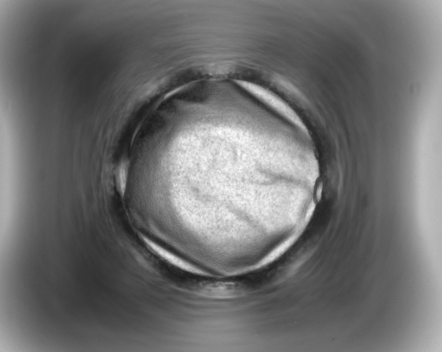 X0000086030497200704091135