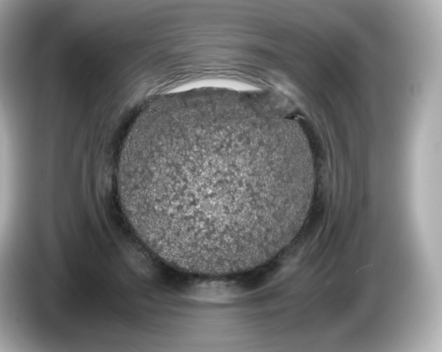 X0000086030499200704091135