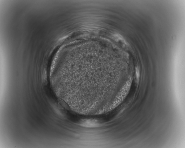 X0000086030500200704091135