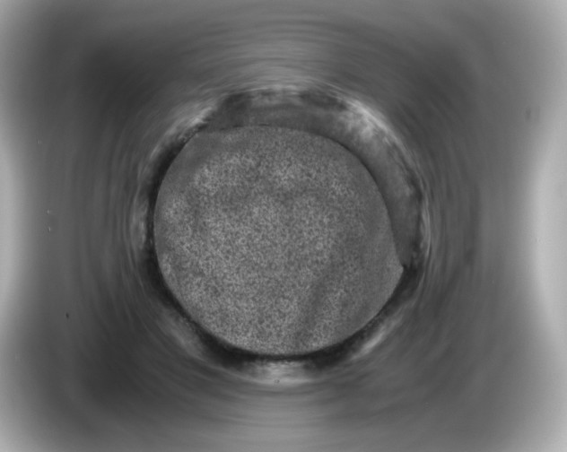 X0000086030501200704091135