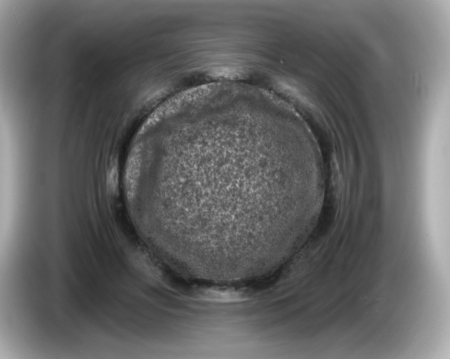 X0000086030502200704091135