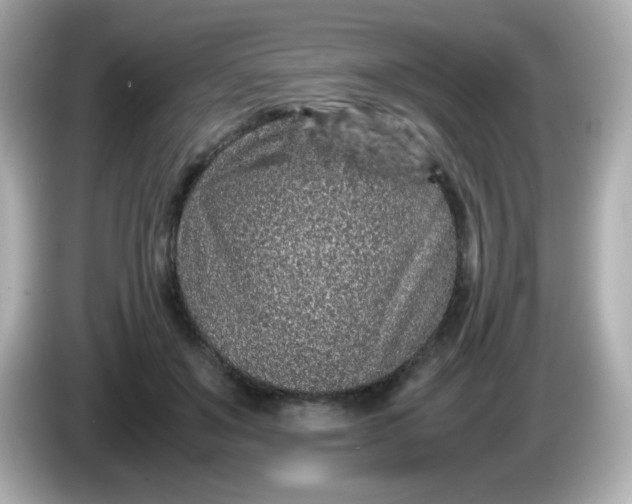 X0000086030503200704091135