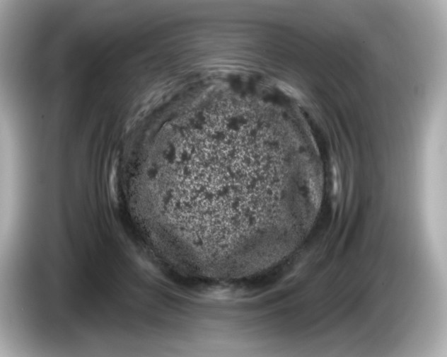 X0000086030504200704091135