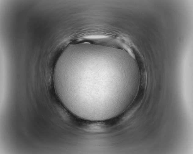 X0000086030505200704091135