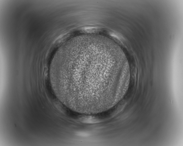 X0000086030507200704091135