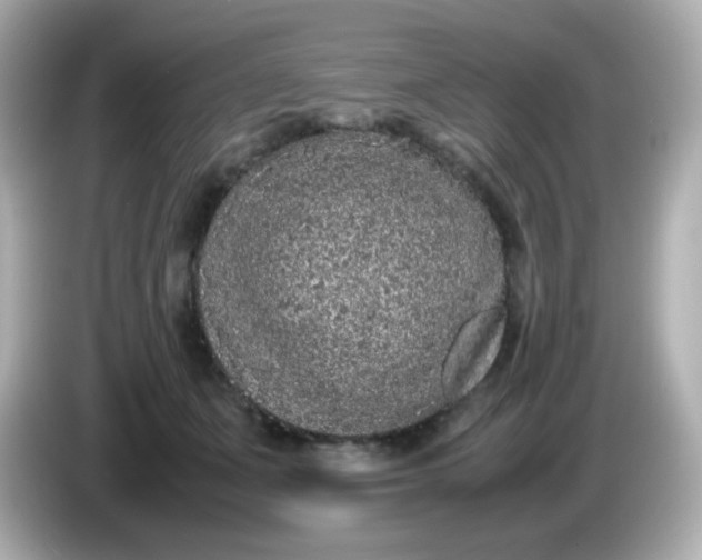 X0000086030511200704091135