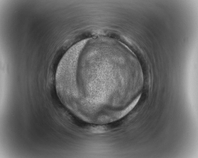 X0000086030513200704091135