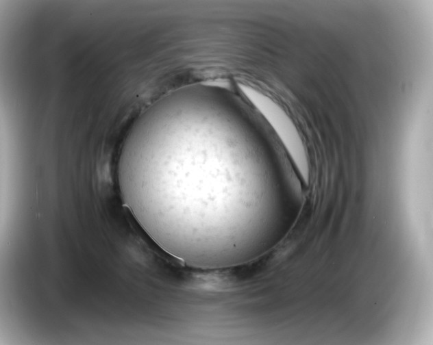 X0000086030516200704091135