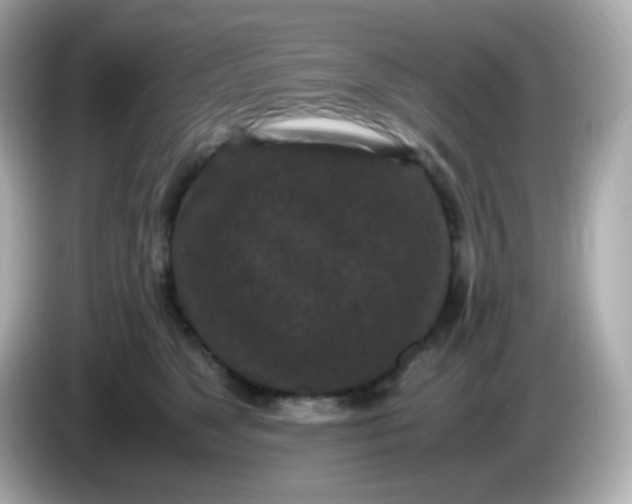 X0000086030517200704091135