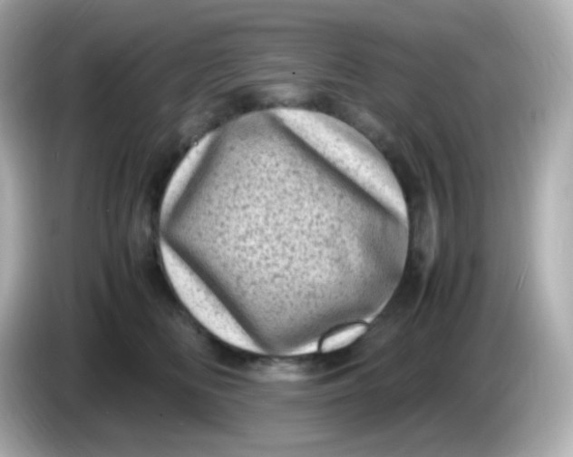 X0000086030518200704091135