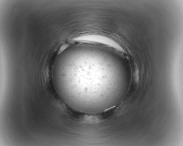 X0000086030520200704091135