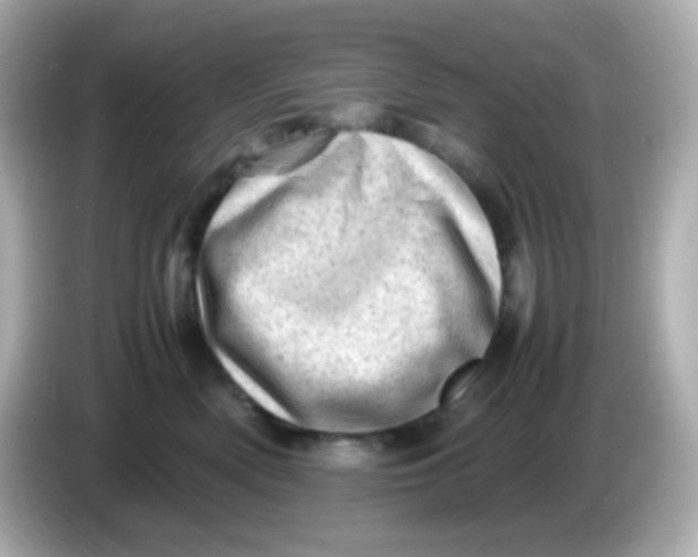 X0000086030522200704091135