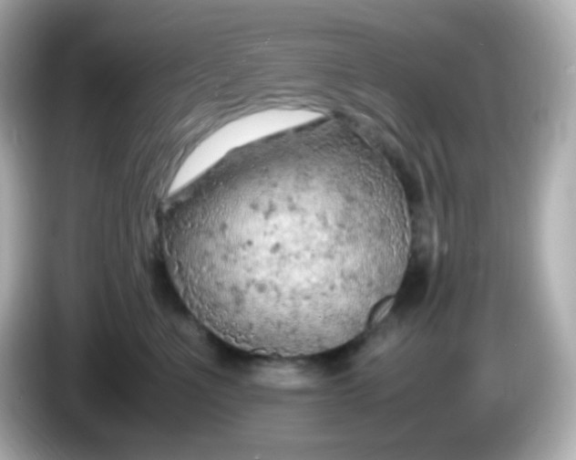 X0000086030523200704091135