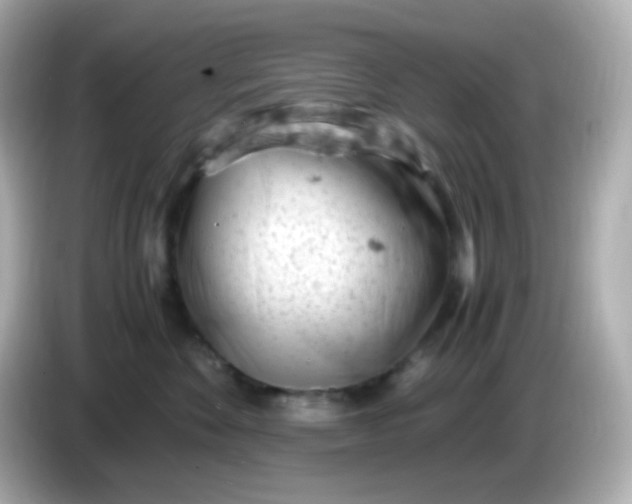 X0000086030524200704091135