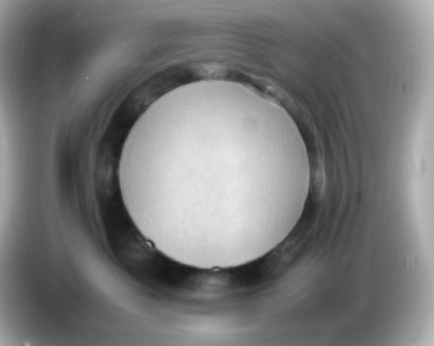 X0000086030525200704091135