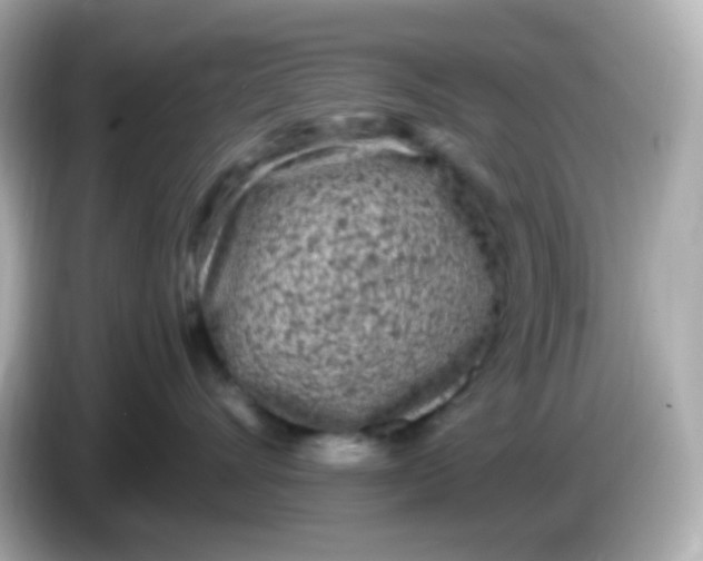 X0000086030528200704091135