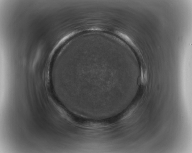 X0000086030531200704091134