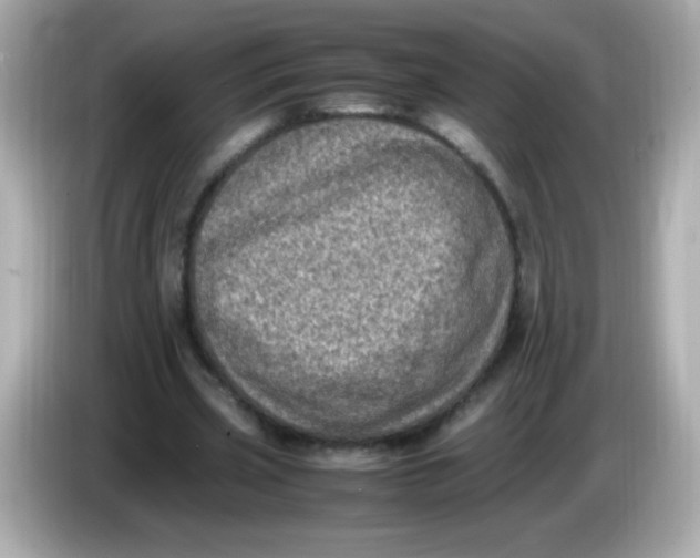 X0000086030533200704091134