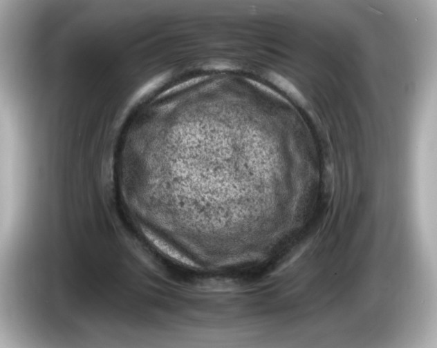 X0000086030535200704091134