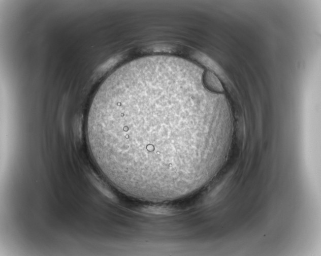 X0000086030537200704091134