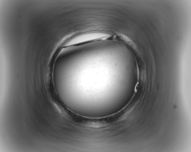 X0000086030540200704091134