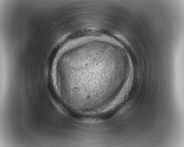 X0000086030542200704091134