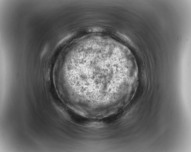 X0000086030543200704091134