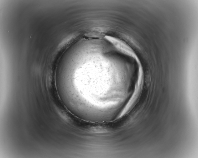 X0000086030544200704091134