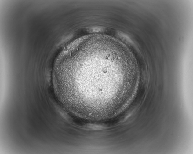 X0000086030545200704091134