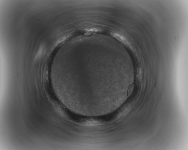 X0000086030547200704091134